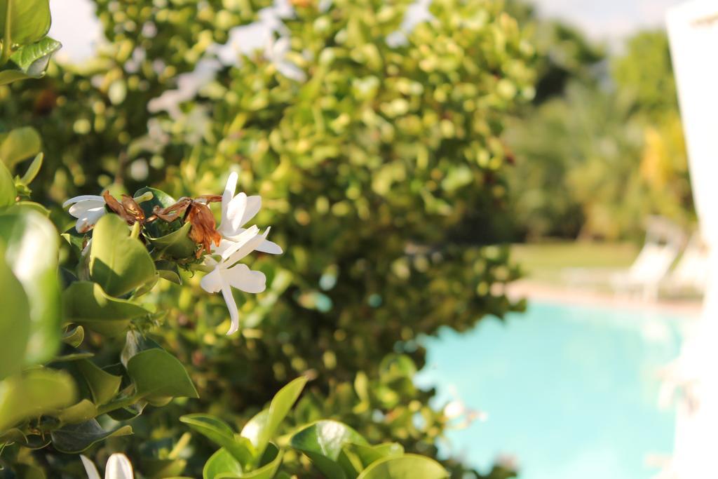 Valle Di Mare Country Resort Fontane Bianche Luaran gambar